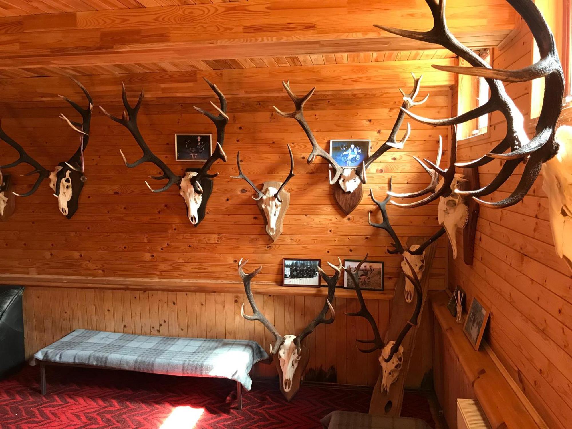 Hotel Pilskalni à Ivande Extérieur photo